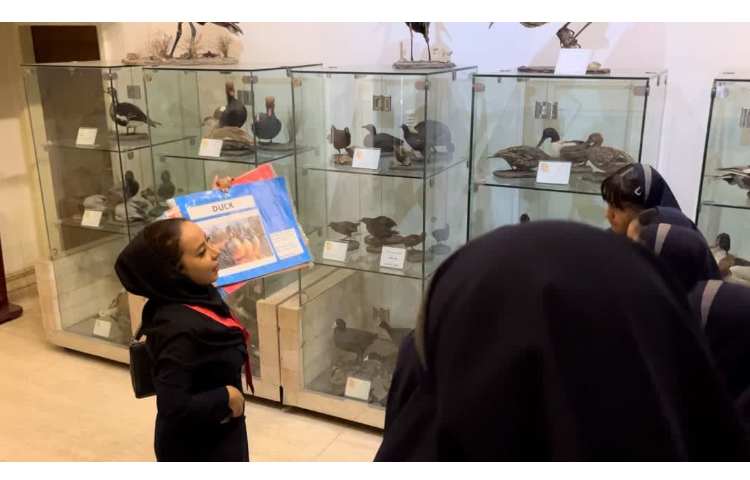 زبان انگلیسی پایگاه تابستانی (موزه حیات وحش دارآباد) 4