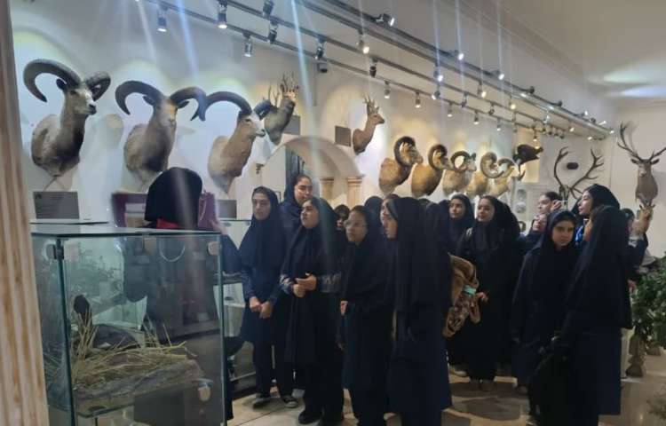 زبان انگلیسی پایگاه تابستانی (موزه حیات وحش دارآباد) 8