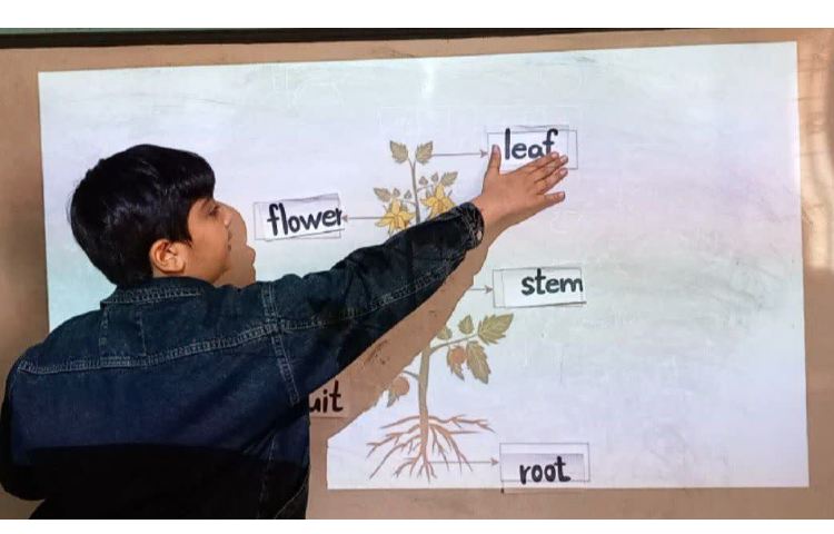 زبان تخصصی 9