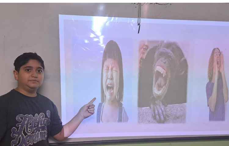 زبان عمومی صحبت درباره تصاویر و احساسات آنها 1