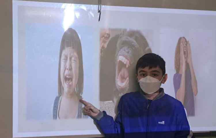 زبان عمومی صحبت درباره تصاویر و احساسات آنها 2