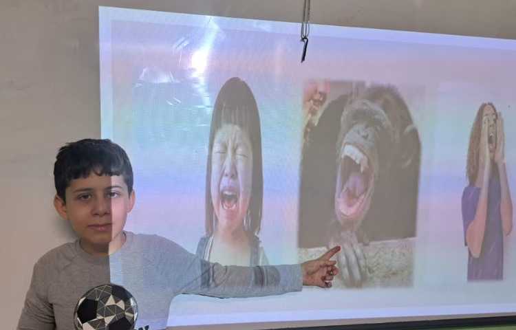 زبان عمومی صحبت درباره تصاویر و احساسات آنها