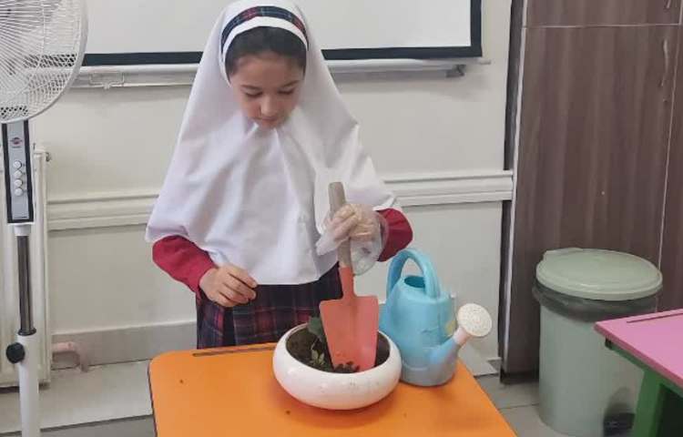 Planting a seed زبان عمومی 2