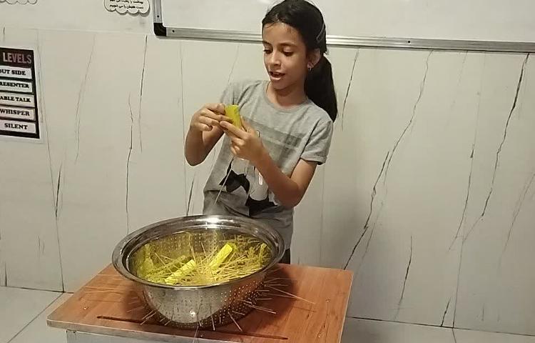 زبان 4
