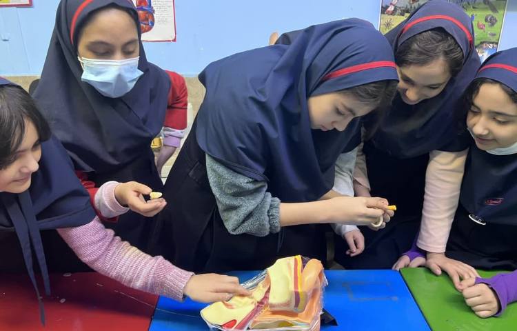 زنگ آزمایشگاه علوم 11