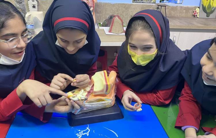 زنگ آزمایشگاه علوم 9