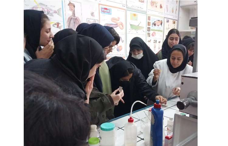 زنگ آزمایشگاه 2