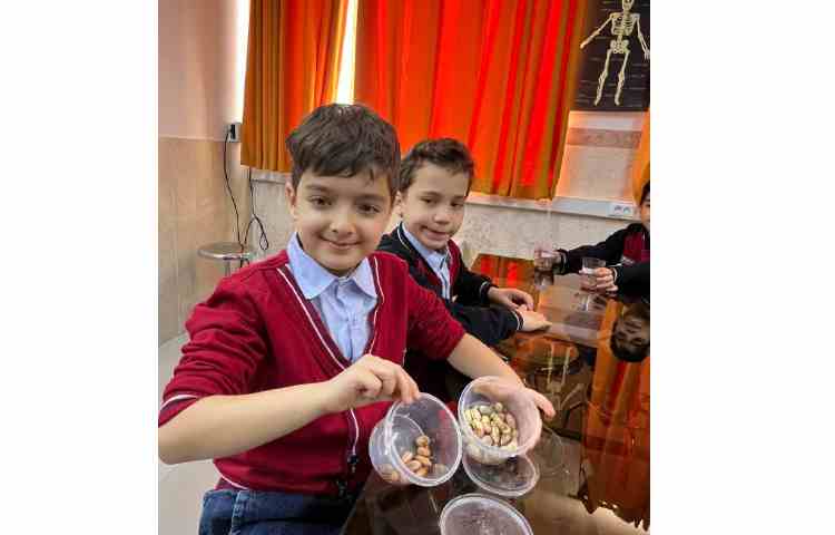 زنگ آزمایشگاه 3