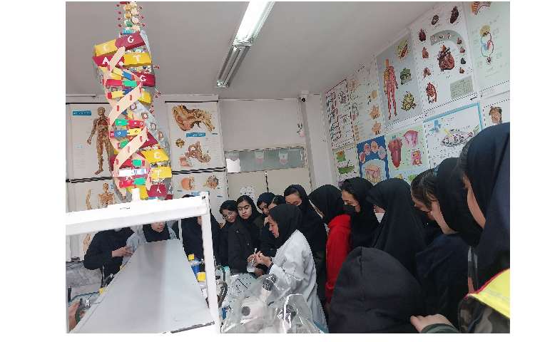 زنگ آزمایشگاه 4