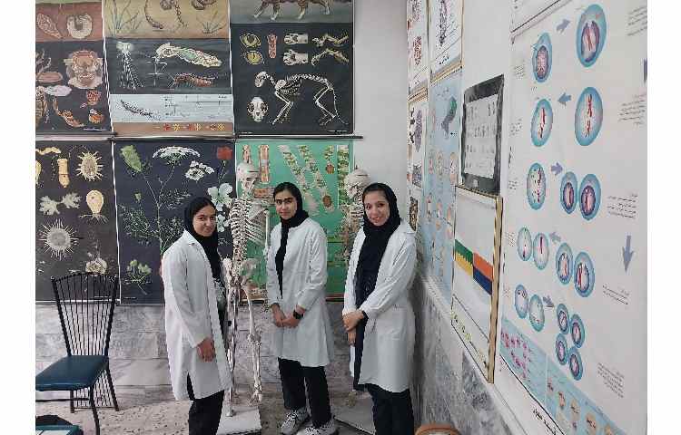 زنگ آزمایشگاه 6