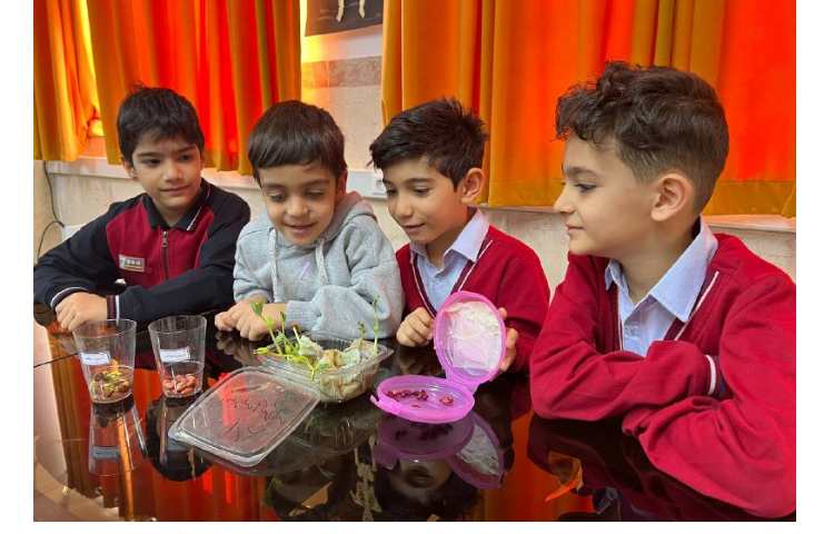 زنگ آزمایشگاه 6