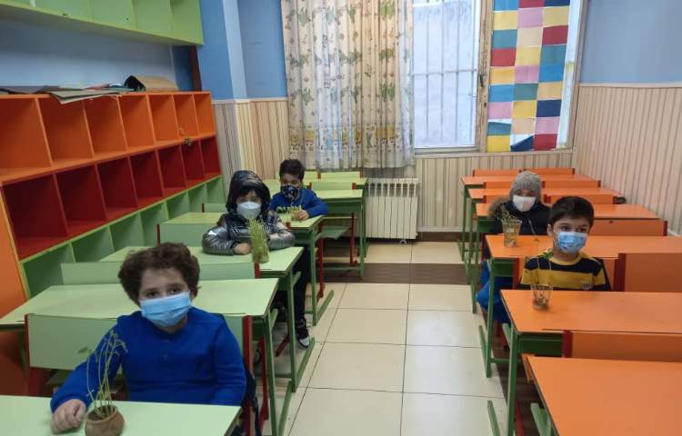 زنگ sci ،اجزای مختلف گیاه