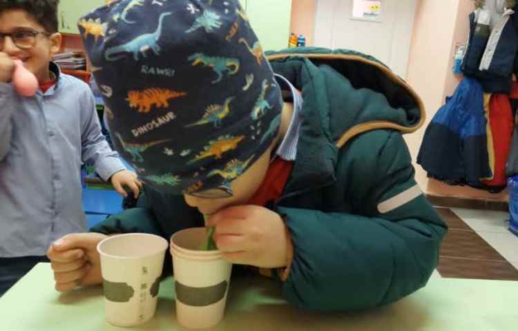 زنگ بازی هدفمند 2