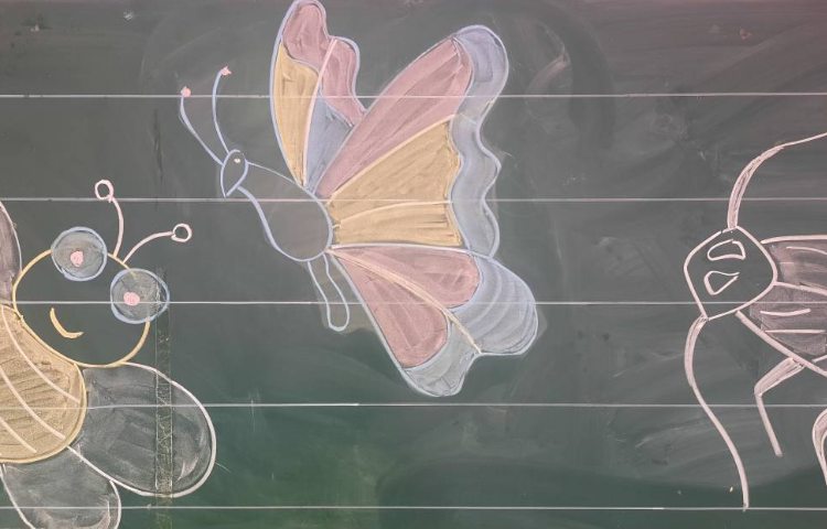 : زنگ تفریح، آشنایی با حشرات کلاژ پروانه 2