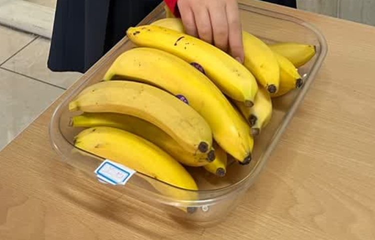 زنگ تفریح های خوشمزه و شاد 2