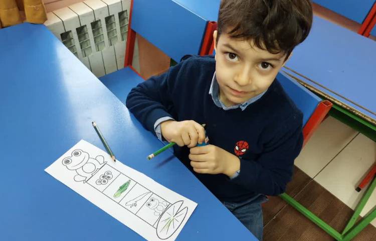 زنگ خوانداری ،هم پایان صدای (و) و مراحل رشد قورباغه 6