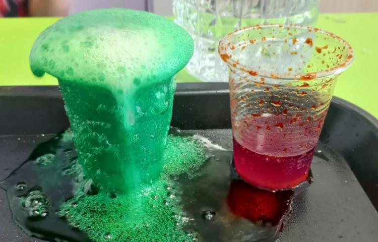 زنگ دانشمندان کوچک