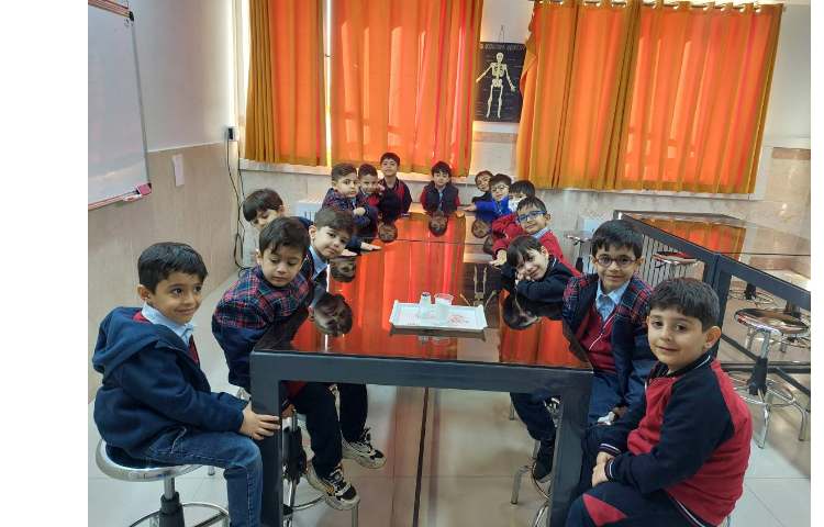 زنگ دانشمند کوچک آزمایش نمک شیرین 1