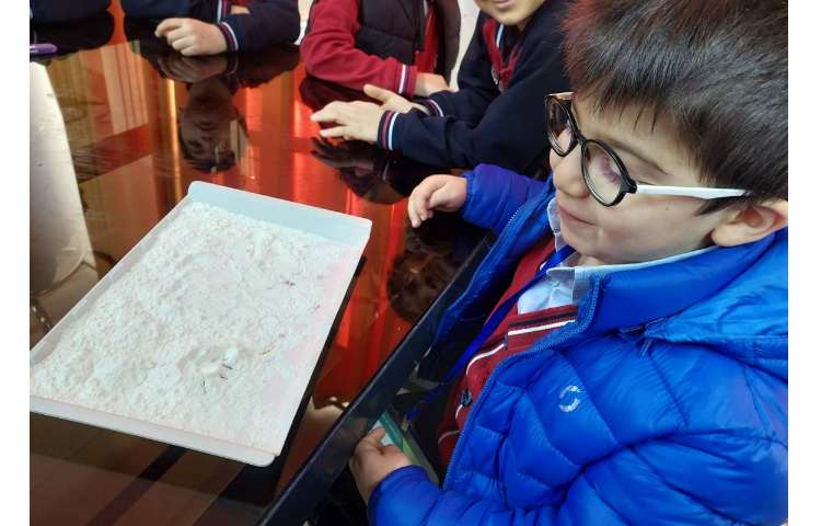 زنگ دانشمند کوچک آزمایش نمک شیرین