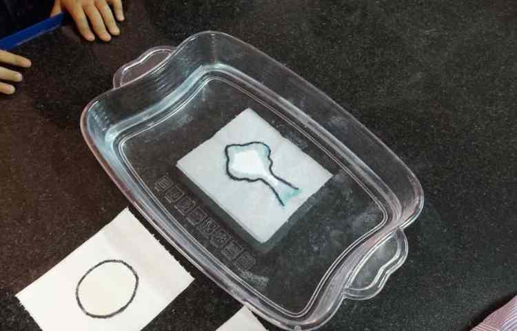 زنگ دانشمند کوچک، ازمایش چاپ جادویی روی آب 4