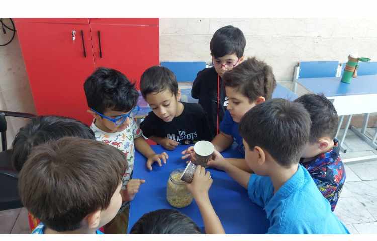 زنگ دانشمند کوچک ذرت رقصان 1