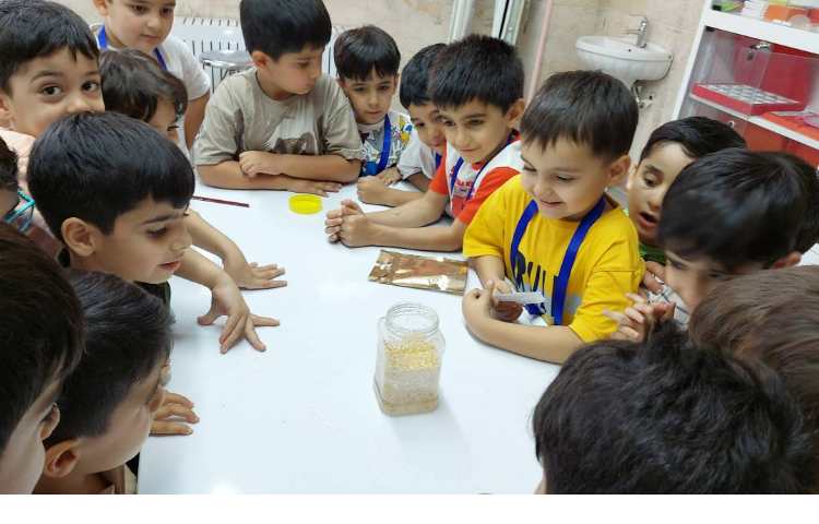 زنگ دانشمند کوچک پیش 1 و پیش 2 1