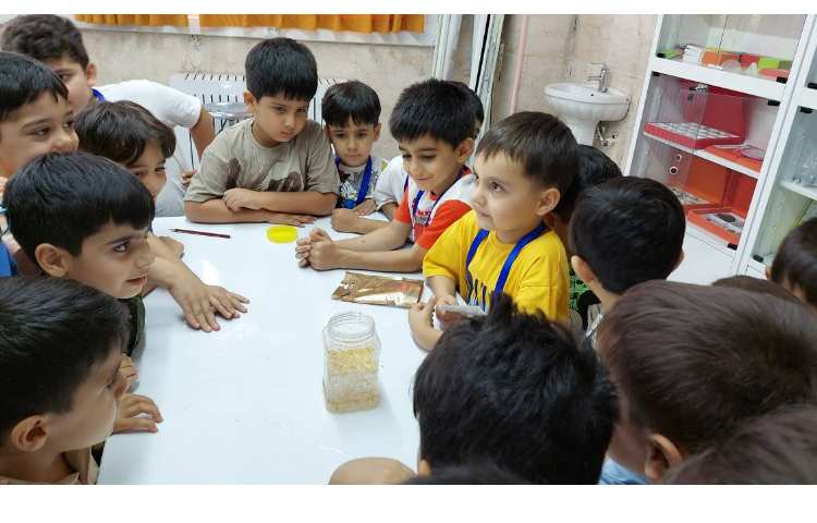 زنگ دانشمند کوچک پیش 1 و پیش 2 2