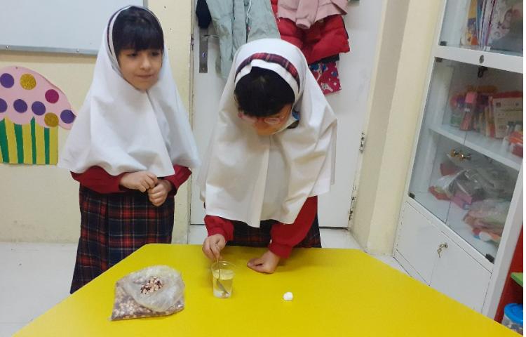 زنگ دانشمند کوچک 2