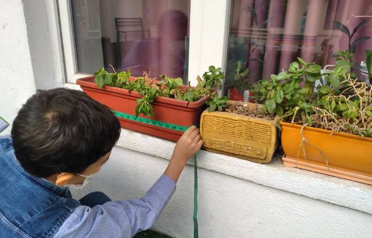 زنگ ریاضی:فصل دوم ، آشنایی با متر و نحوه‌ی اندازه‌گیری آن 3