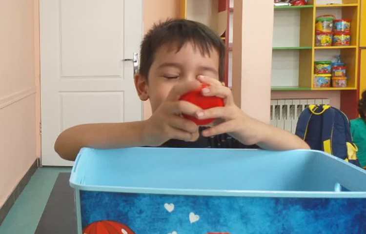 زنگ ریاضی و جشن میانه تابستان 15