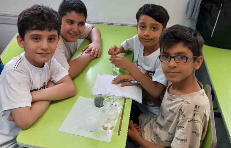 زنگ علوم،آزموش مخلوط ها 3