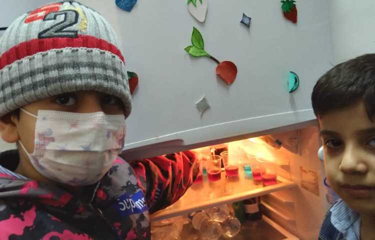 زنگ علوم:تدریس انجماد با درست کردن ژله 2