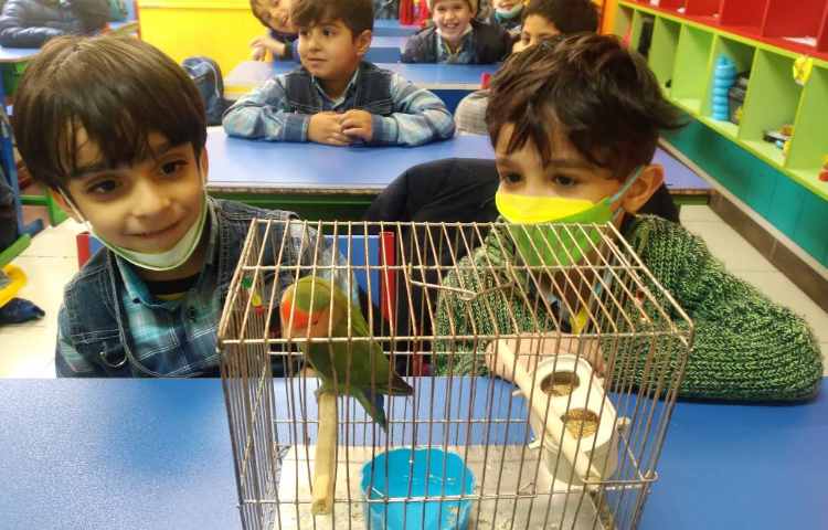 :زنگ علوم،کلاس پرتقال 1