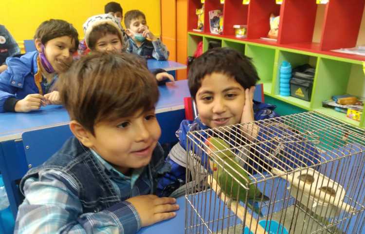 :زنگ علوم،کلاس پرتقال 2