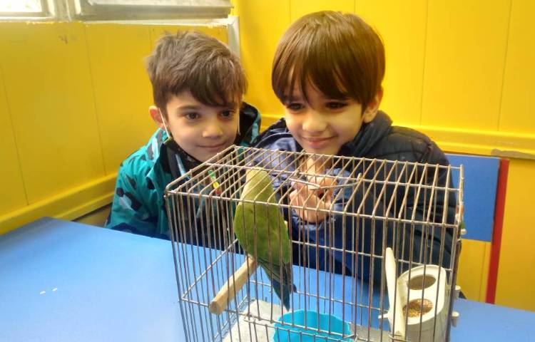 :زنگ علوم،کلاس پرتقال 4