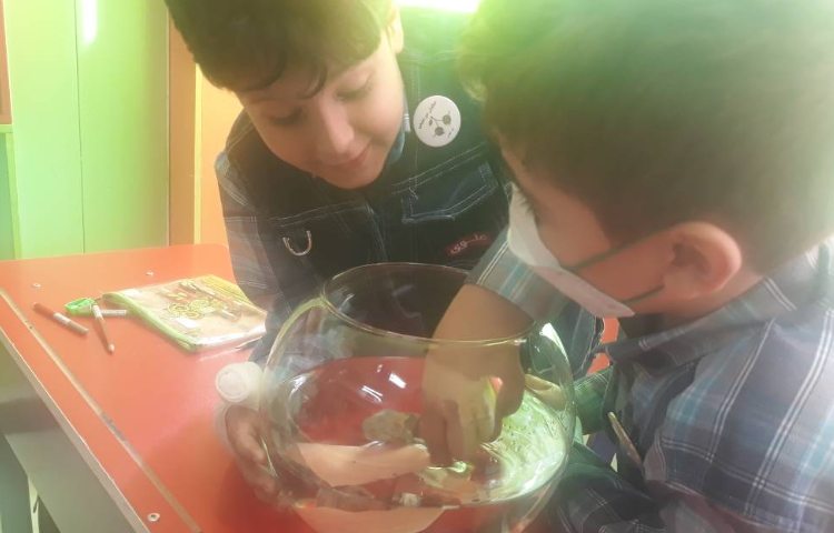 :زنگ علوم آزمایش سبک و سنگین