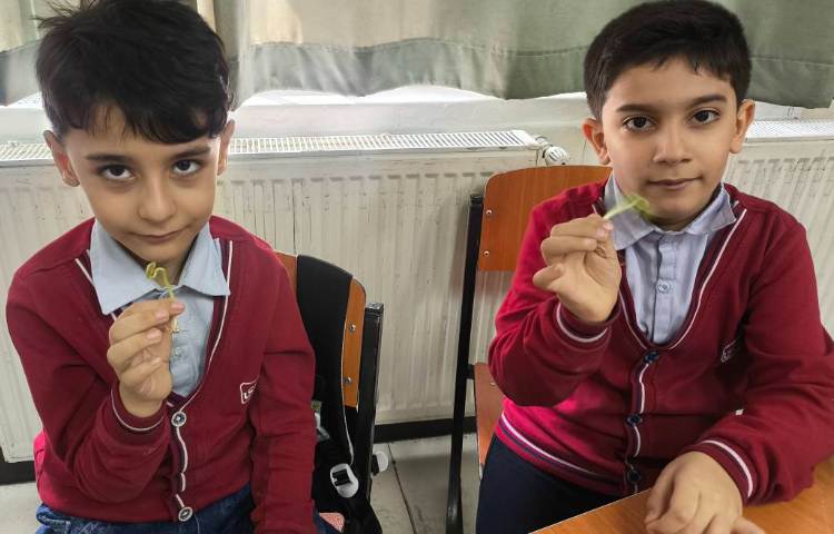 زنگ علوم آشنایی با اندوخته و گیاهک و پوسته در گیاه به صورت عینی 1