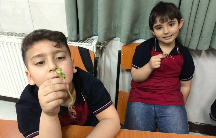 زنگ علوم آشنایی با اندوخته و گیاهک و پوسته در گیاه به صورت عینی 2