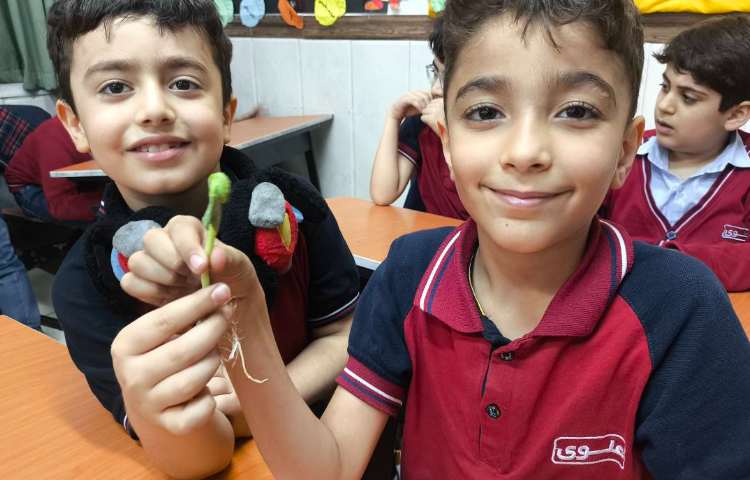 زنگ علوم آشنایی با اندوخته و گیاهک و پوسته در گیاه به صورت عینی 3