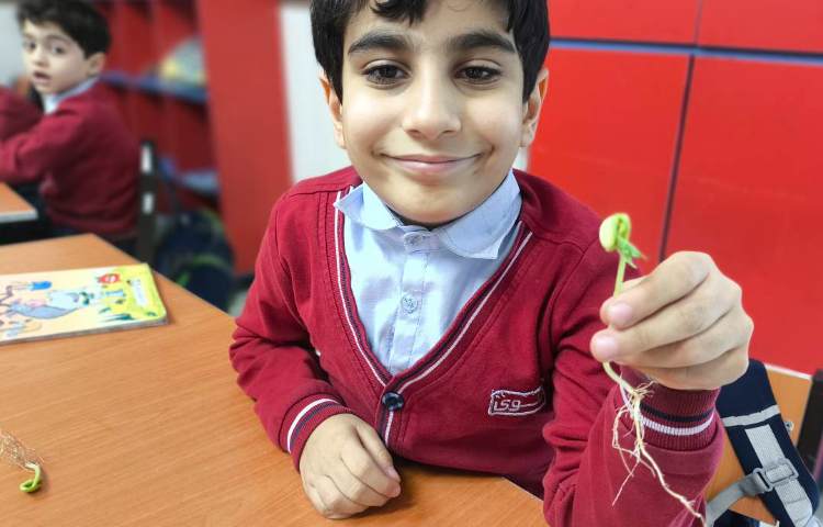 زنگ علوم آشنایی با اندوخته و گیاهک و پوسته در گیاه به صورت عینی 6