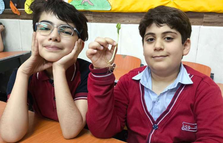 زنگ علوم آشنایی با اندوخته و گیاهک و پوسته در گیاه به صورت عینی 7