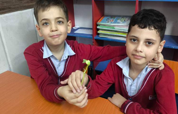 زنگ علوم آشنایی با اندوخته و گیاهک و پوسته در گیاه به صورت عینی 8