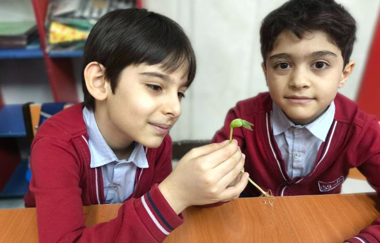 زنگ علوم آشنایی با اندوخته و گیاهک و پوسته در گیاه به صورت عینی