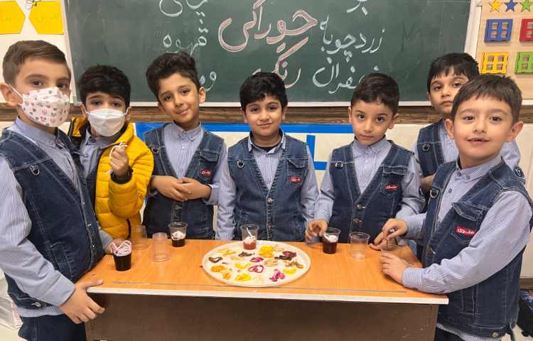 زنگ علوم: آشنایی با رنگ خوراکی 2