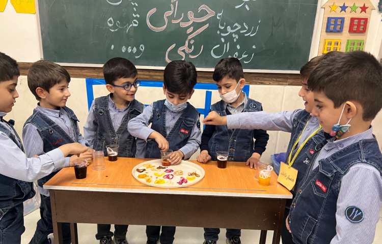 زنگ علوم: آشنایی با رنگ خوراکی 3