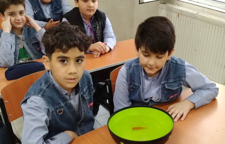 زنگ علوم: آشنایی با زندگی ماهی‌ها 2