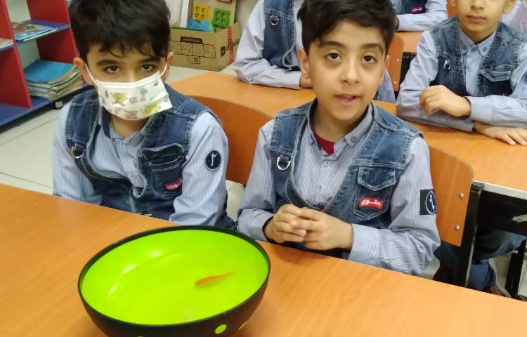 زنگ علوم: آشنایی با زندگی ماهی‌ها