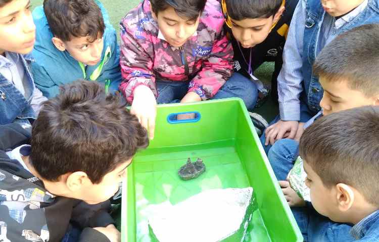 زنگ علوم: آشنایی با نیرو مربوط به درس 9(نیرو همه جا) 3