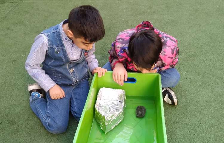 زنگ علوم: آشنایی با نیرو مربوط به درس 9(نیرو همه جا)