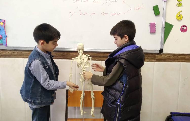 زنگ علوم: آشنایی دانش آموزان با مهره داران و برگزاری ارزشیابی علوم 1